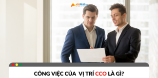 Công việc của CCO là gì? Vai trò và nhiệm vụ