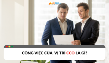 Công việc của CCO là gì? Vai trò và nhiệm vụ