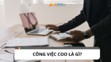 Công việc COO là gì? Vai trò, nhiệm vụ và kỹ năng cần có