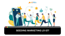 Seeding marketing là gì? Cách triển khai hiệu quả