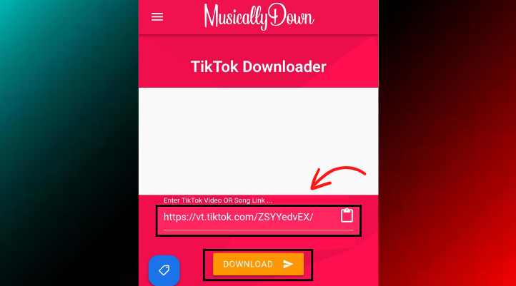 Mở MusicallyDown và dán link video