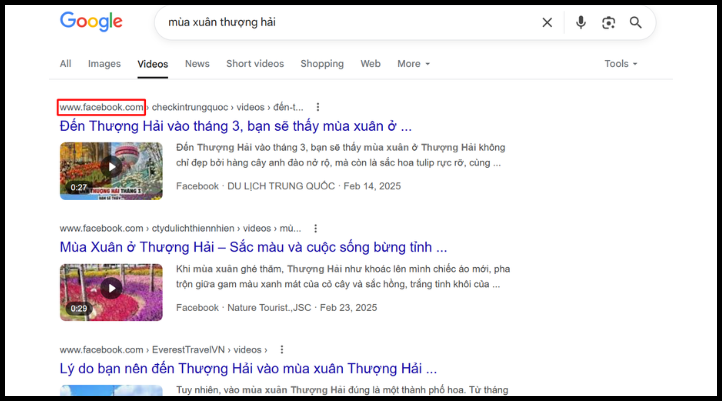 Trước đây, Google chỉ hiển thị video từ Facebook hay TikTok, nhưng từ sau 1/7, google đã update thêm chỉ mục cho Instagram