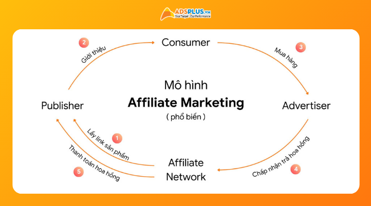 Mô hình hoạt động của Affiliate gồm những ai?