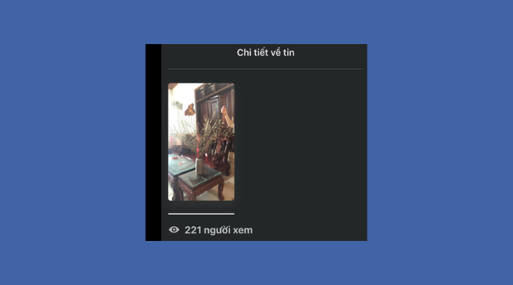 Trong kho lưu trữ, bạn chọn tiếp Kho lưu trữ tin, chọn Story muốn kiểm tra. Sau đó, nhấn vào mục Người xem ở góc dưới bên trái màn hình để xem chi tiết danh sách.