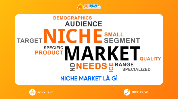 Niche Market là gì? Bí quyết để doanh nghiệp nhỏ thắng lớn năm 2026