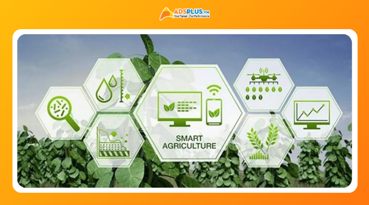 Hệ thống AI trong nông nghiệp phân tích dữ liệu sản xuất và điều kiện môi trường