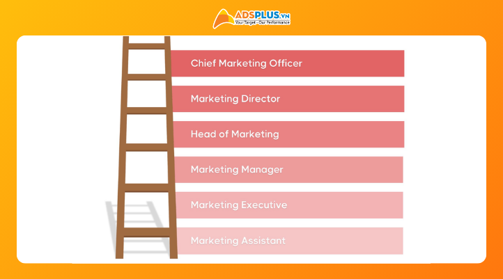 Cơ hội thăng tiến của ngành này như thế nào?