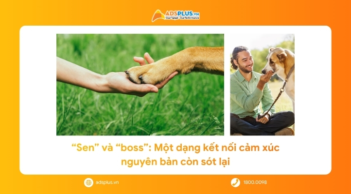 Tình cảm giữa “sen” & “boss”: Chất liệu Marketing “vô giá” khi nguyên liệu chữa lành ngày càng khan hiếm