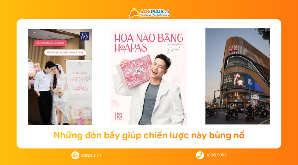 Chiến lược của Hapas: Từ túi thời trang đến chiếc hộp chạm đúng insight cánh mày râu