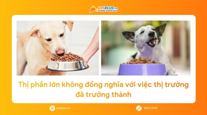 Mousoudi &ldquo;Đừng biến th&uacute; cưng th&agrave;nh th&ugrave;ng r&aacute;c&rdquo;: V&igrave; sao thương hiệu dẫn đầu vẫn phải dạy kh&aacute;ch h&agrave;ng?