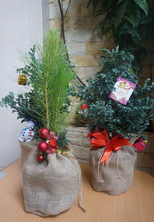 nhung-y-tuong-kinh-doanh-mua-giang-sinh-ma-ban-khong-the-bo-qua-hinh-1