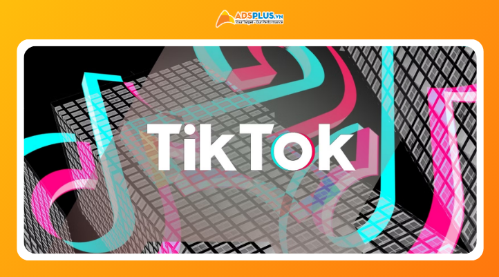 TikTok Counter hỗ trợ phân tích dữ liệu TikTok